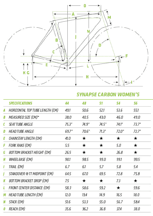 Synapse Carbon Women's Frame Geometry