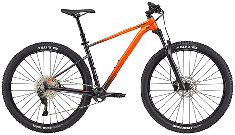 Cannondale 2021 Trail SE 3