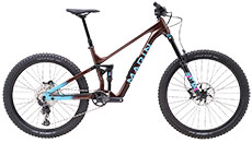 Marin 2025 Alpine Trail 1