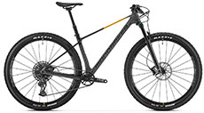 Mondraker 2024 Chrono Carbon DC R (Nimbus Grey)
