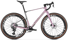 Mondraker 2026 Arid Carbon RR (Mirage Silver)