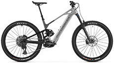 Mondraker 2026 Crafty Carbon R (Golden Silver)