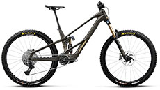 Orbea 2027 Wild LT M10 (Magic Gold)