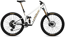 Pivot 2025 Firebird Pro X0 Eagle Air (White)