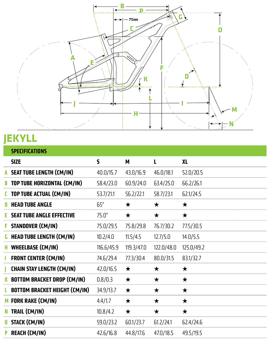 cannondale trail 5 size chart