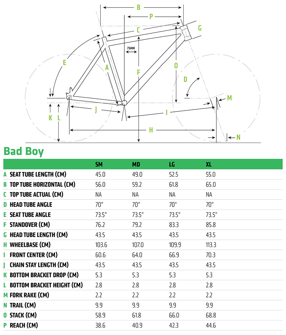 Cannondale 2020 Bad Boy Frame Geometry